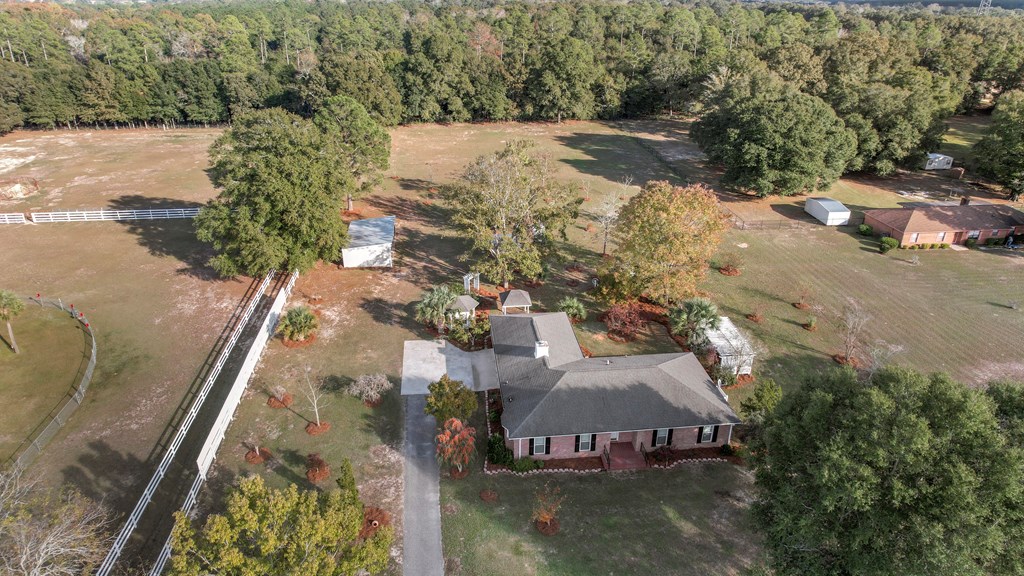 3117 Holland Road, Newton, Alabama image 3