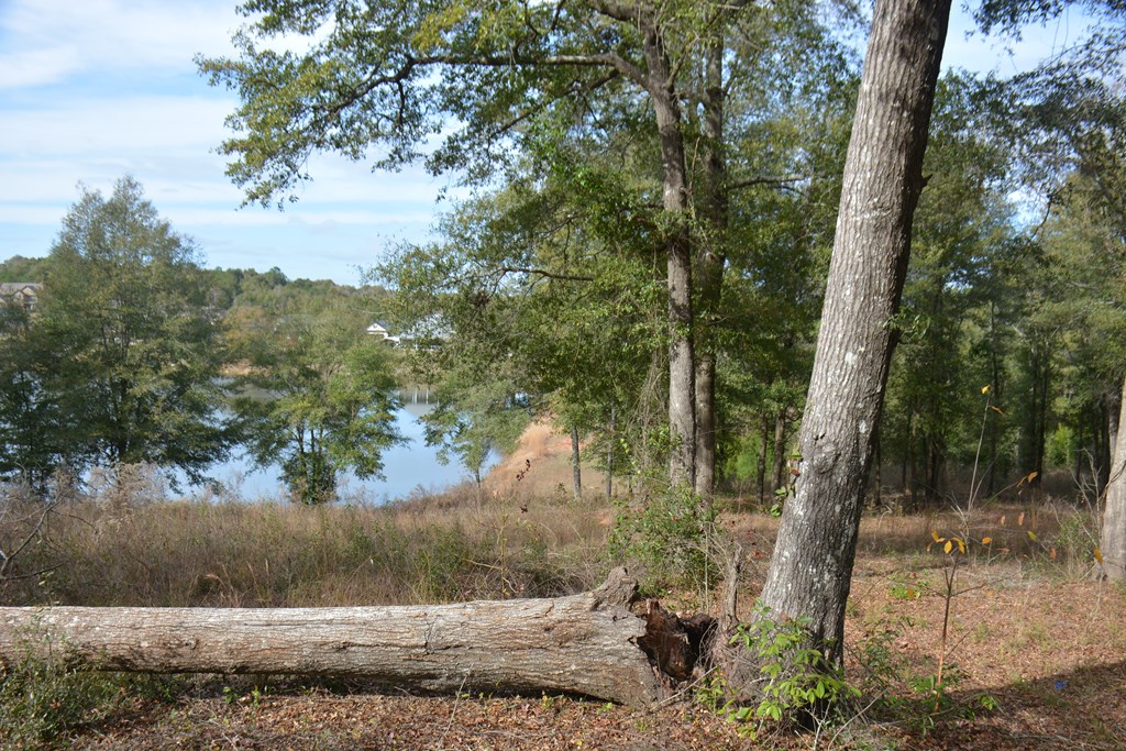 TBD Meriwether Road, Enterprise, Alabama image 9