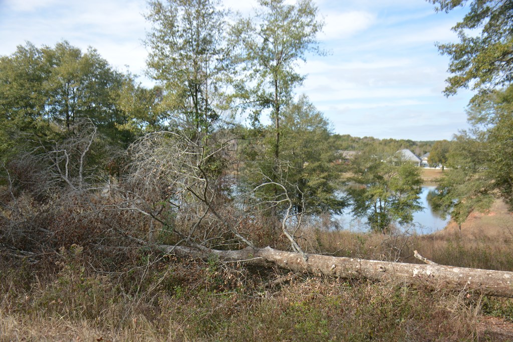 TBD Meriwether Road, Enterprise, Alabama image 8