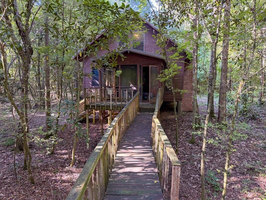 111 COUNTY ROAD 176, ABBEVILLE, AL 36310 - Image a1c977c4bef7cfd7bb3b2fd53f32e9f6/1761929941