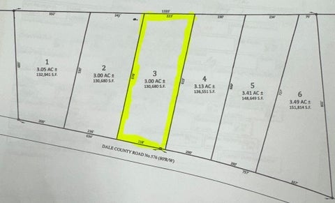 Vacant Land For Sale - LOT 3 Dale County Rd 576<br/> Headland, AL 36345