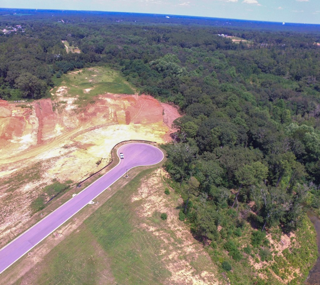 209 Rylee Road, Dothan, Alabama image 20