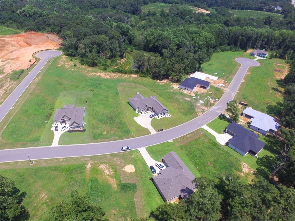 209 Rylee Road, Dothan, Alabama image 27