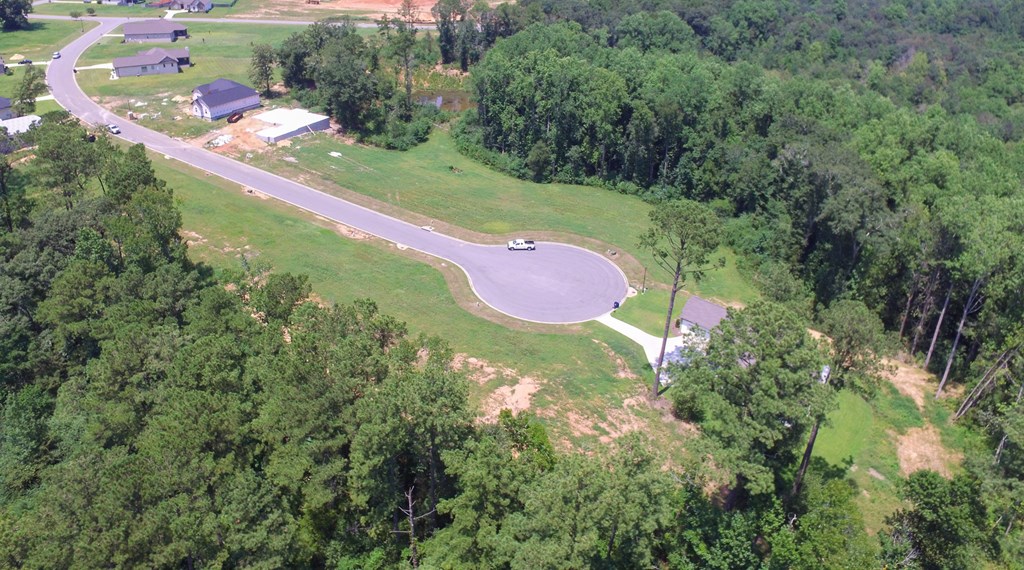 209 Rylee Road, Dothan, Alabama image 9
