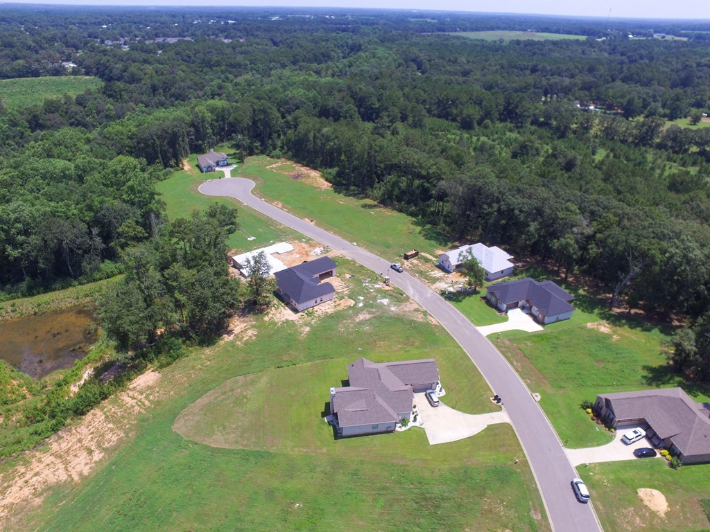 209 Rylee Road, Dothan, Alabama image 19