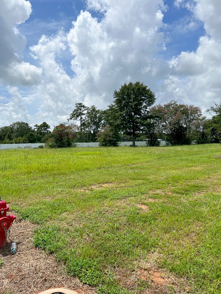 209 Rylee Road, Dothan, Alabama image 6