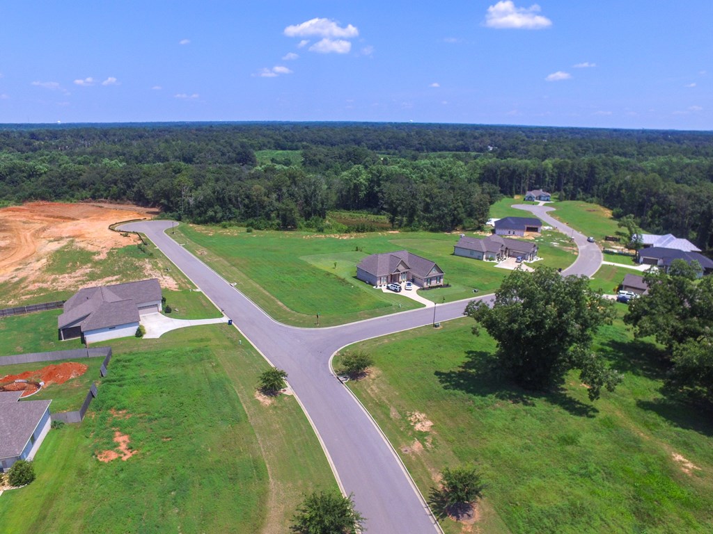 209 Rylee Road, Dothan, Alabama image 24