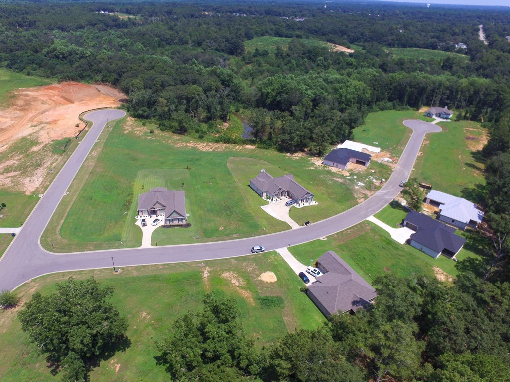 209 Rylee Road, Dothan, Alabama image 25