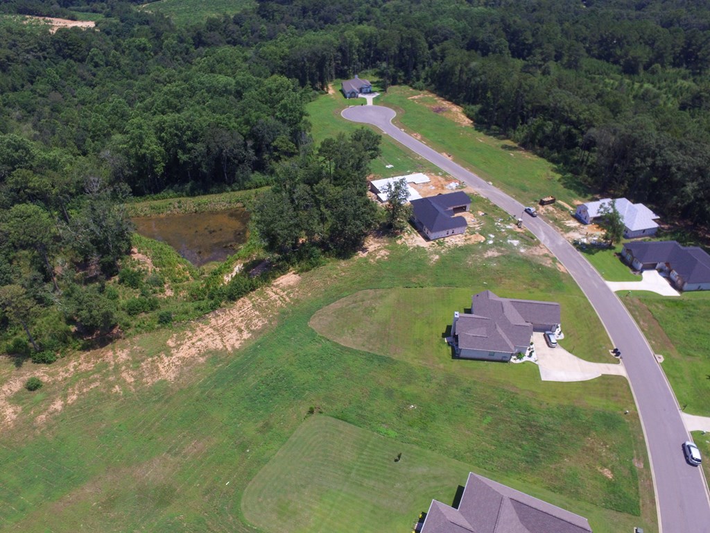 209 Rylee Road, Dothan, Alabama image 17