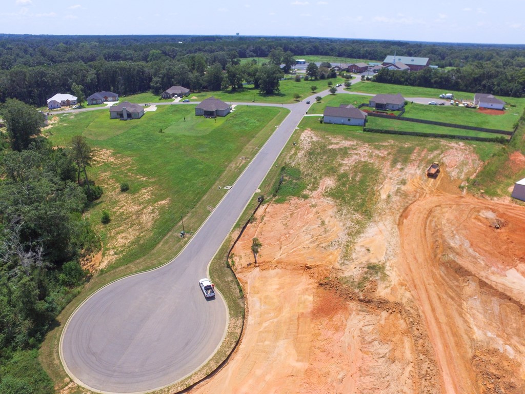 209 Rylee Road, Dothan, Alabama image 16
