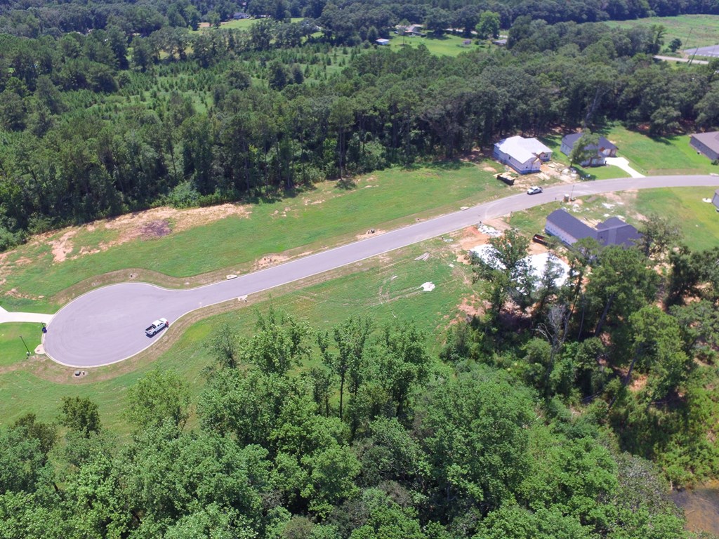 209 Rylee Road, Dothan, Alabama image 13