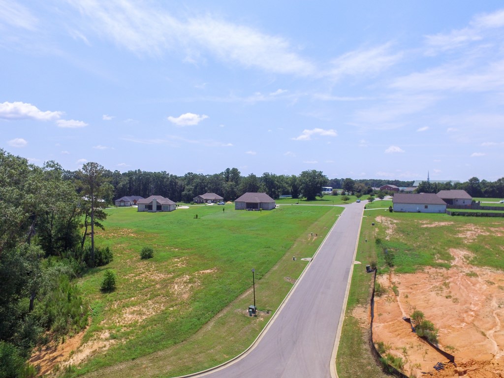209 Rylee Road, Dothan, Alabama image 15