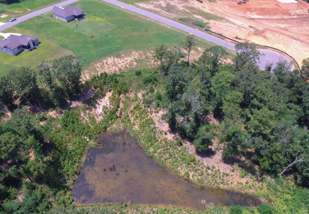 209 Rylee Road, Dothan, Alabama image 11