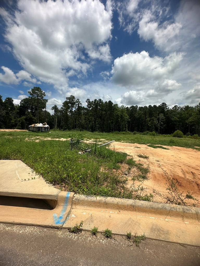 460 Golden Oaks, Dothan, Alabama image 2