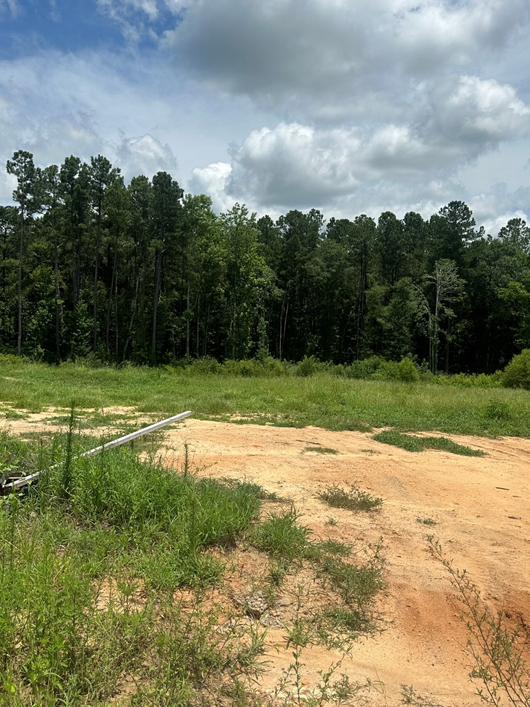 460 Golden Oaks, Dothan, Alabama image 4