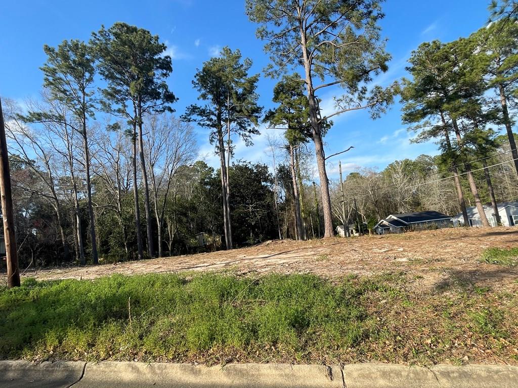 Phillips Terrace, Dothan, Alabama image 1