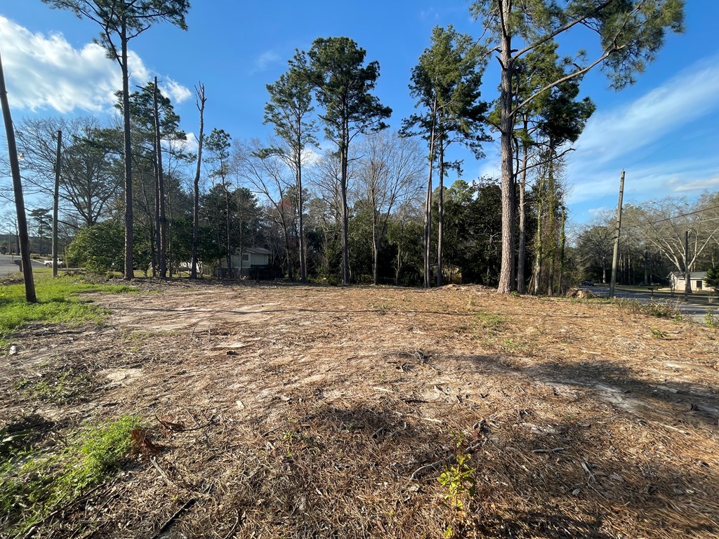 Phillips Terrace, Dothan, Alabama image 3