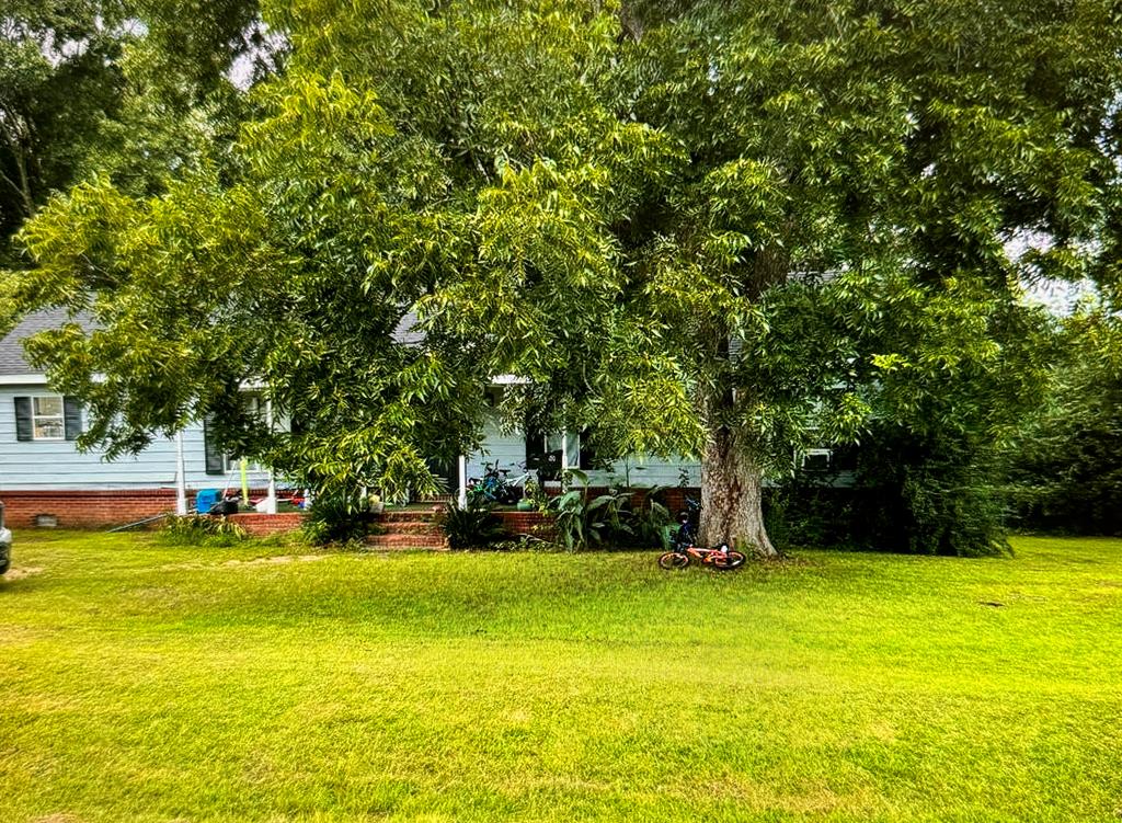 111 Thomas St, Webb, Alabama image 1