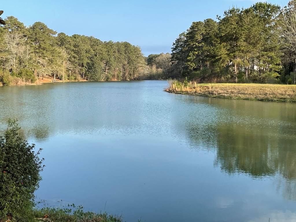 117 Mulberry Lane, Headland, Alabama image 4