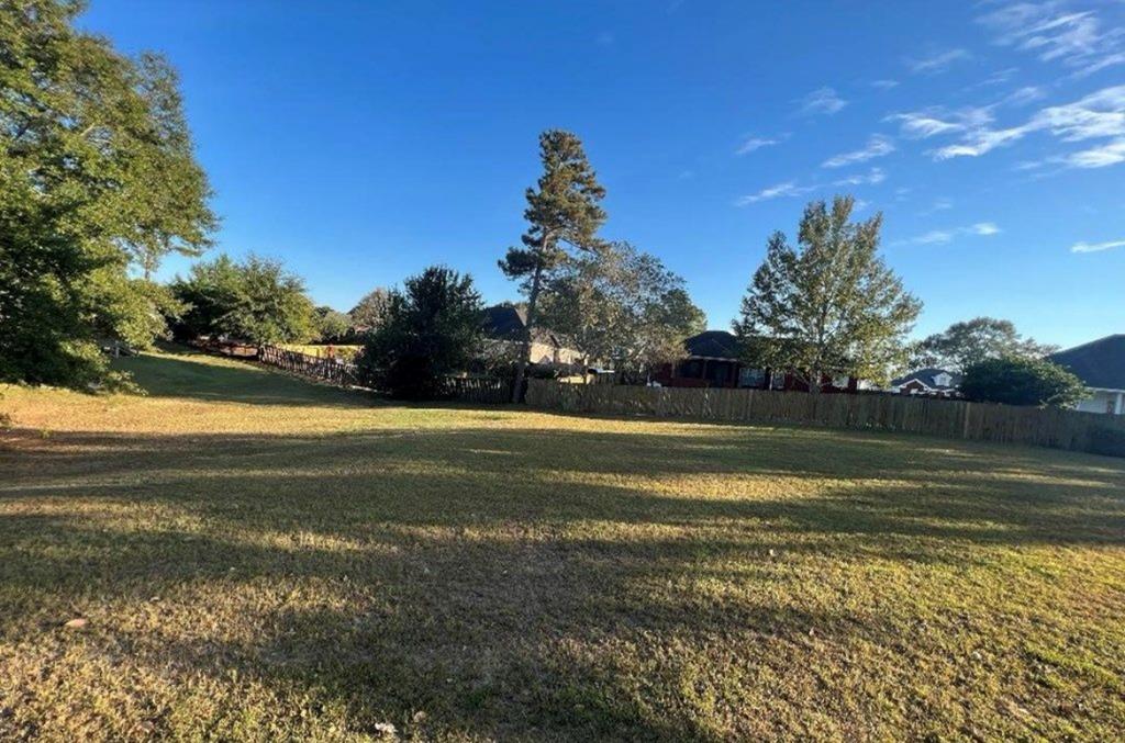 117 Mulberry Lane, Headland, Alabama image 1