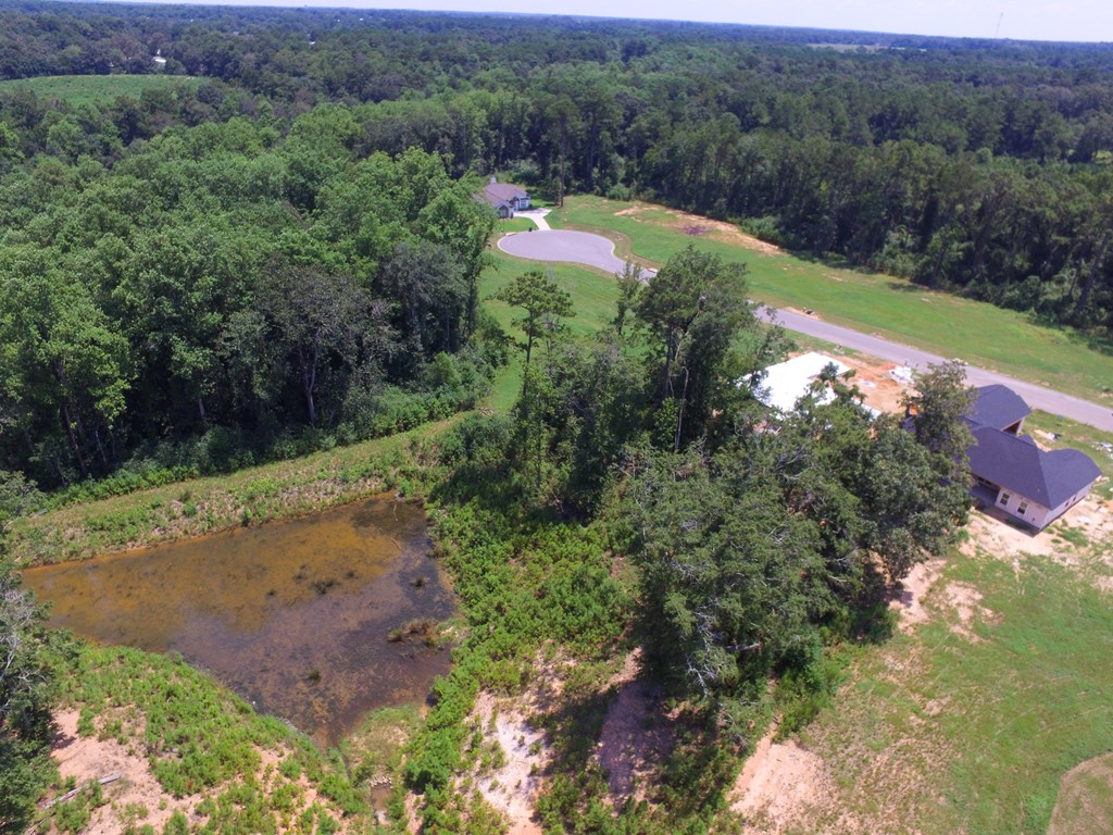 Dothan, Alabama 36305, United States, ,Land,Active,213227