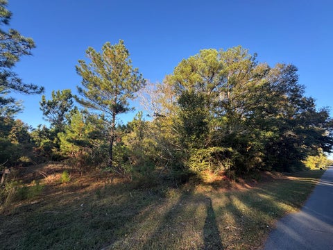Vacant Land For Sale - East Wilson Street<br/> Dothan, AL 36303