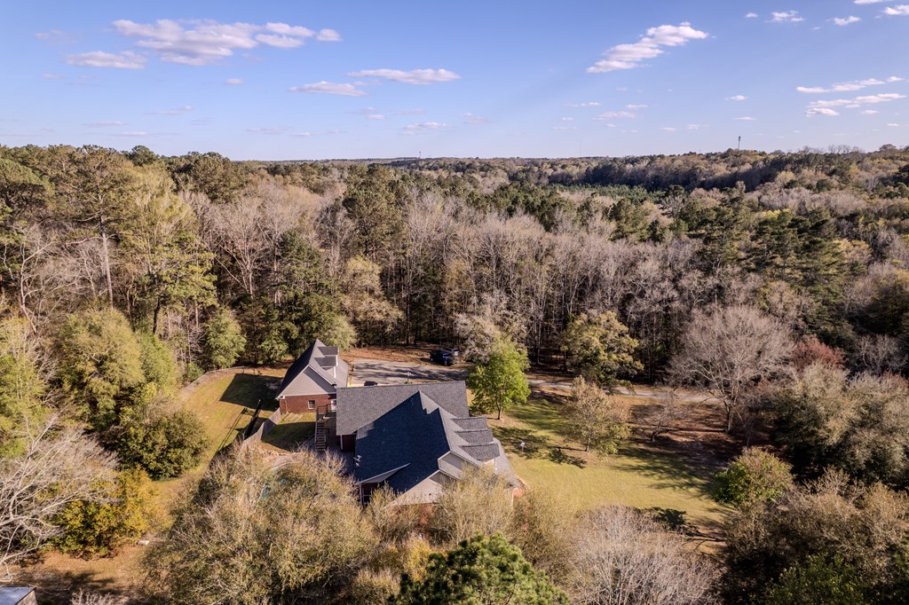 158 Wayne Ford Road, Midland City, Alabama image 41