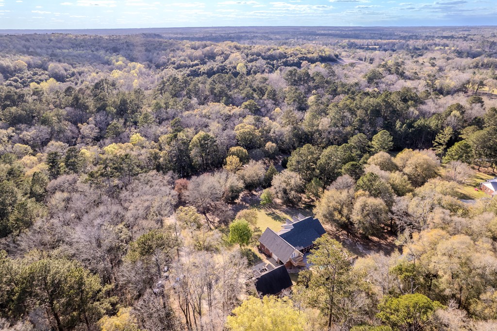 158 Wayne Ford Road, Midland City, Alabama image 44