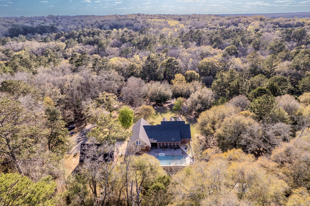 158 Wayne Ford Road, Midland City, Alabama image 43
