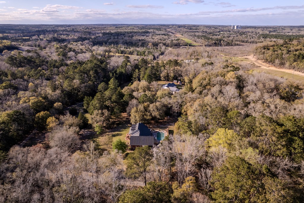 158 Wayne Ford Road, Midland City, Alabama image 45
