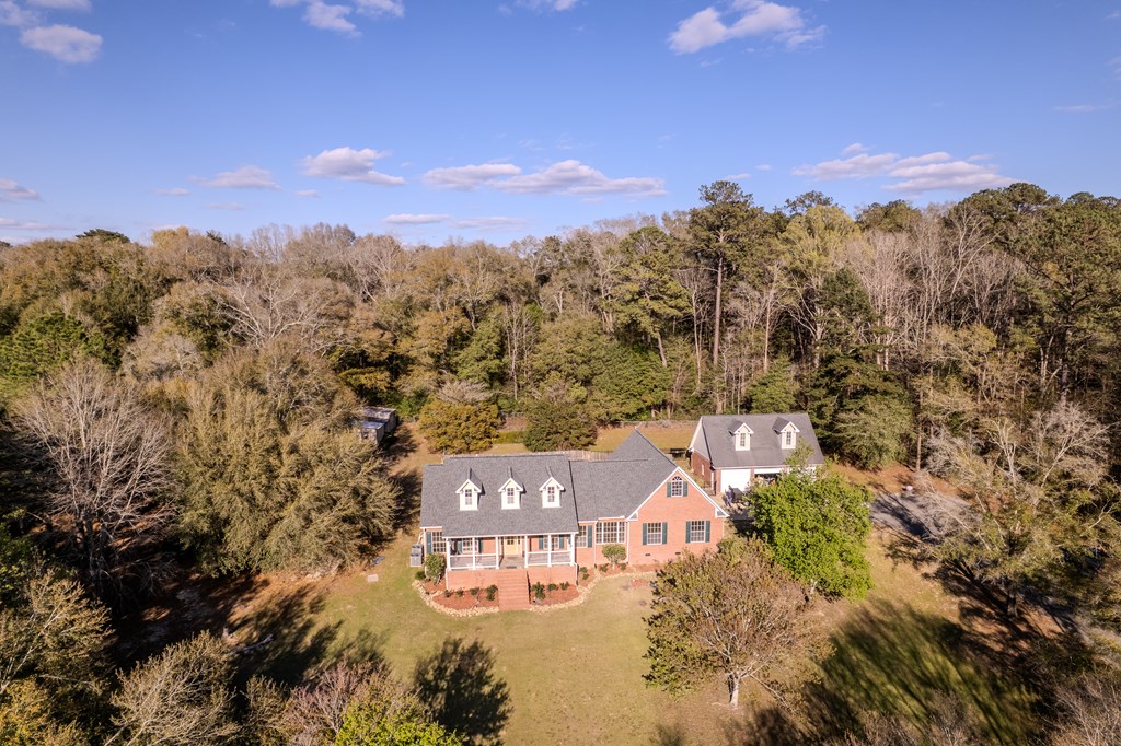 158 Wayne Ford Road, Midland City, Alabama image 39