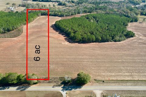 Vacant Land For Sale - County Rd 238<br/> Headland, AL 36345