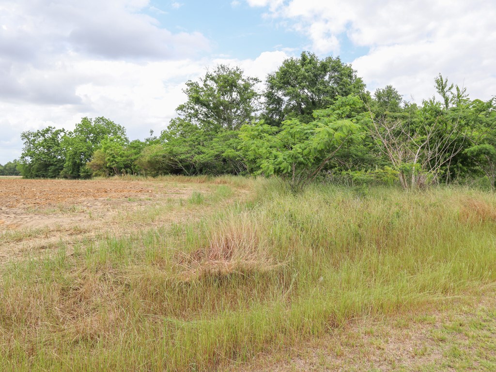 Taylor, Alabama 36301, United States, ,Land,Active,242865