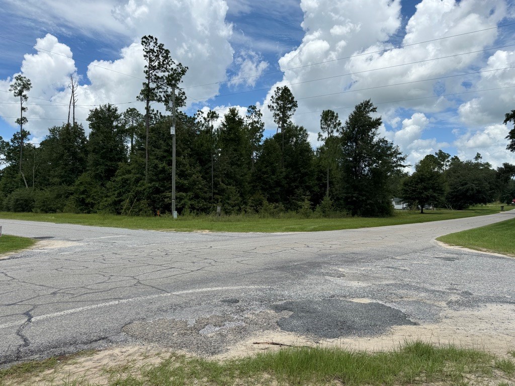 Lot 32 Parkside, Donalsonville, Georgia image 4