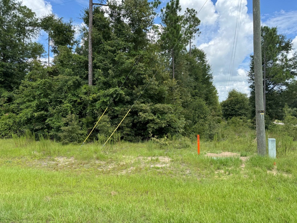 Lot 32 Parkside, Donalsonville, Georgia image 3