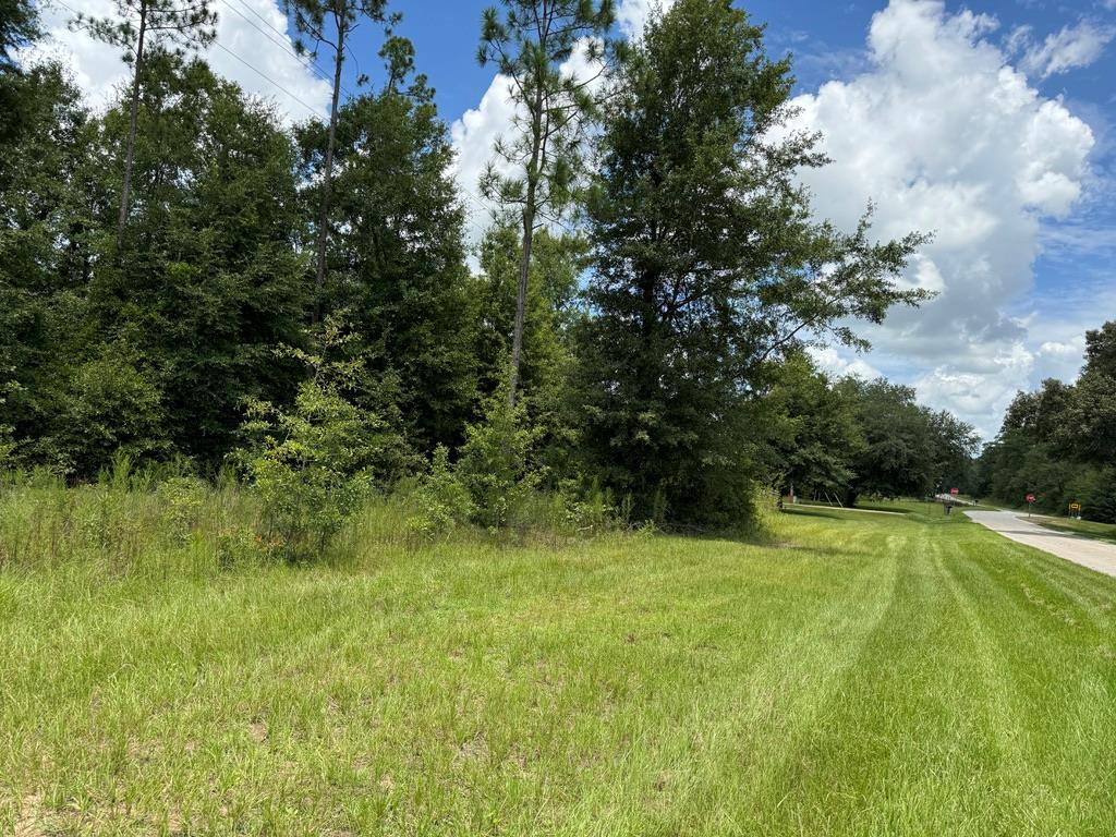 Lot 32 Parkside, Donalsonville, Georgia image 1
