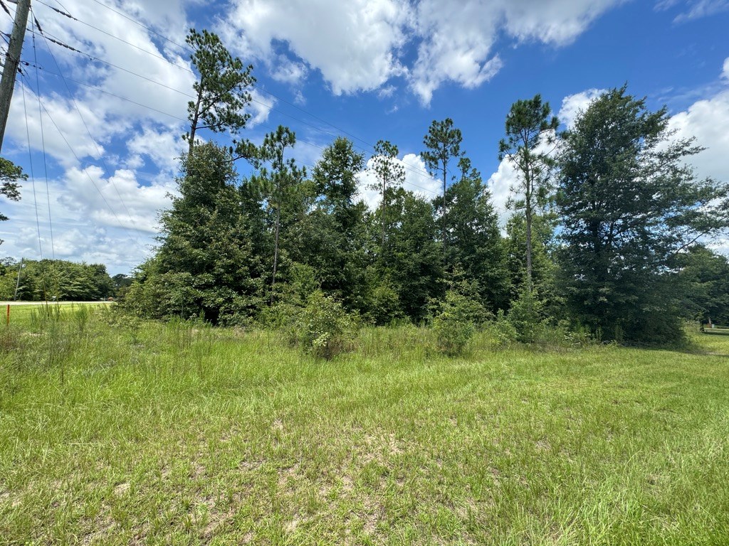 Lot 32 Parkside, Donalsonville, Georgia image 2