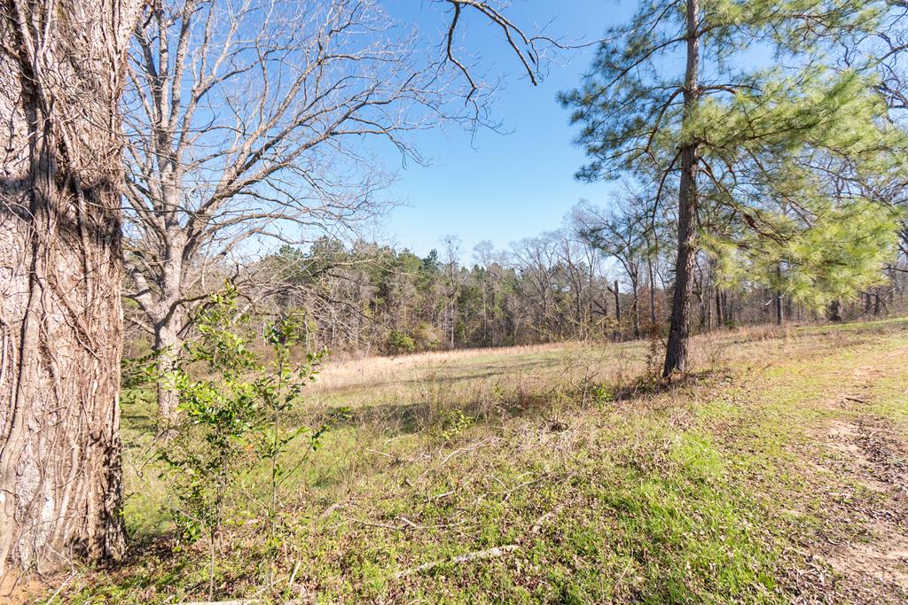 424 Creel Richardson Rd, Ariton, Alabama image 30