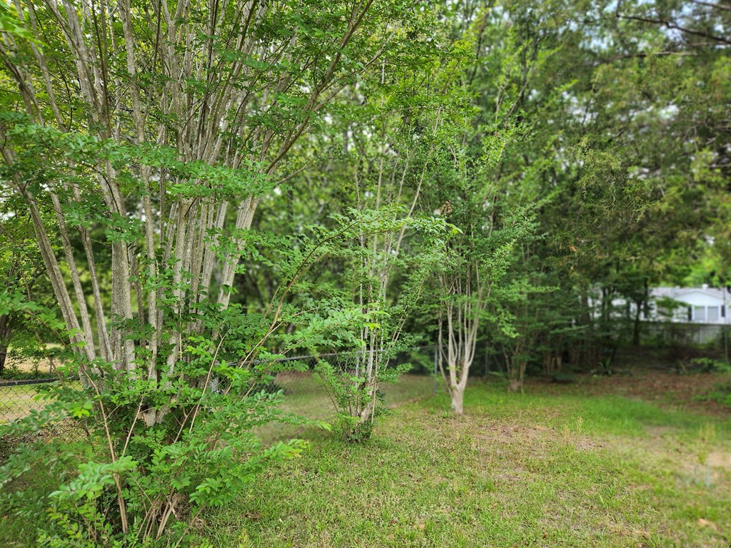 193 Highland Ave, Ozark, Alabama image 23
