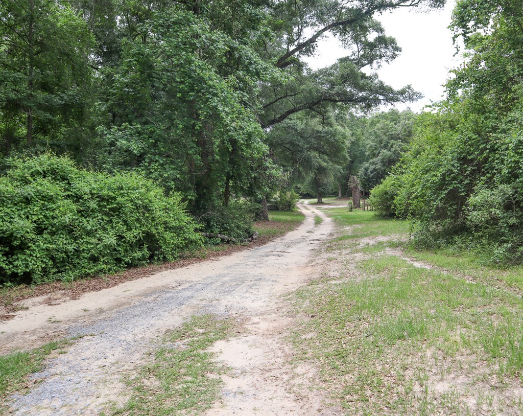 Daleville, Alabama 36322, United States, 2 Bedrooms Bedrooms, ,1 BathroomBathrooms,Residential,Active,134894