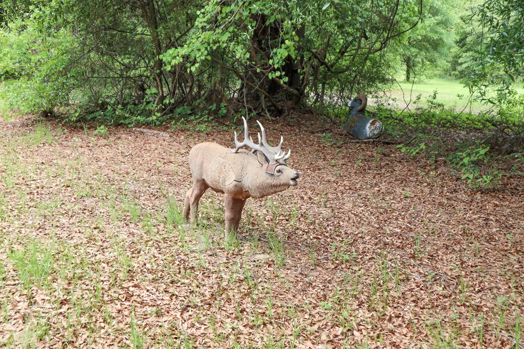 Daleville, Alabama 36322, United States, 2 Bedrooms Bedrooms, ,1 BathroomBathrooms,Residential,Active,134894