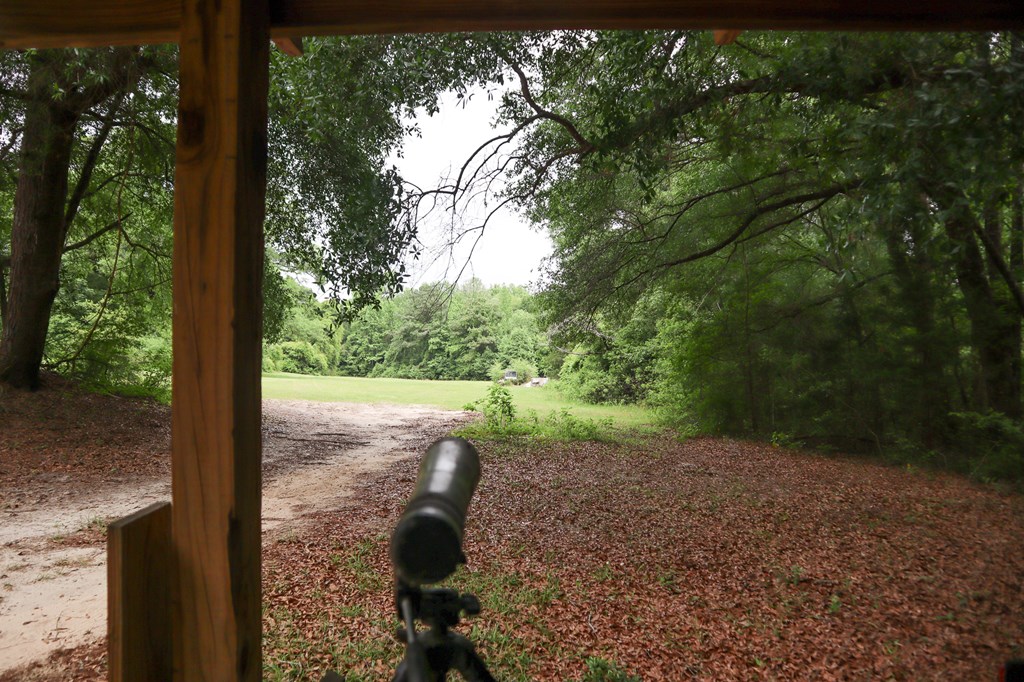 Daleville, Alabama 36322, United States, 2 Bedrooms Bedrooms, ,1 BathroomBathrooms,Residential,Active,134894