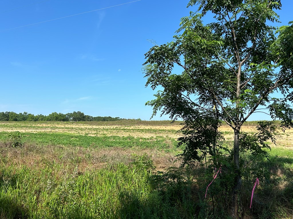 20.26+-ac Cecil Varnum Rd, Lot #47037, Dothan, Alabama image 7
