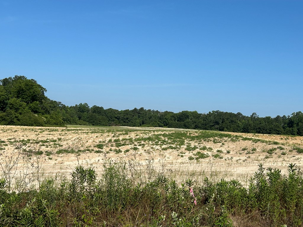 20.26+-ac Cecil Varnum Rd, Lot #47037, Dothan, Alabama image 26