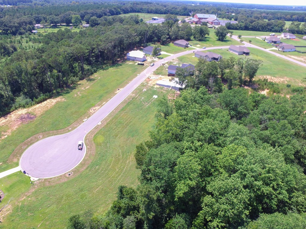 Dothan, Alabama 36305, United States, ,Land,Active,213229