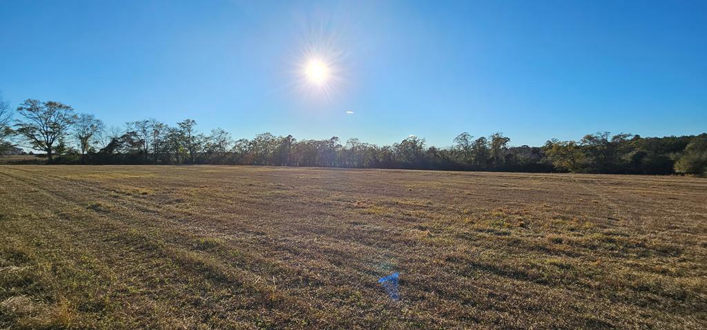 23.48 Acres South Park Rd, Slocomb, Alabama image 5