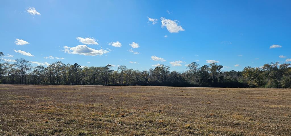 23.48 Acres South Park Rd, Slocomb, Alabama image 2