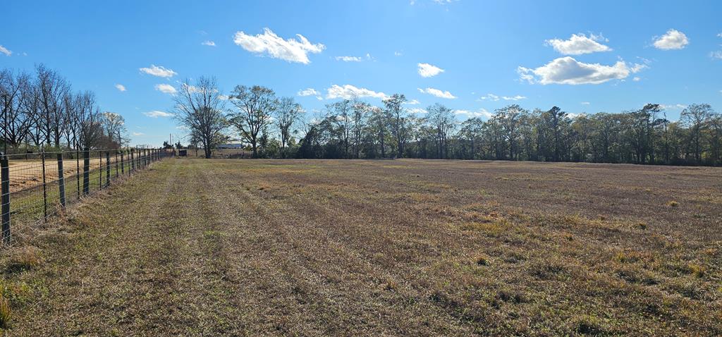 23.48 Acres South Park Rd, Slocomb, Alabama image 3