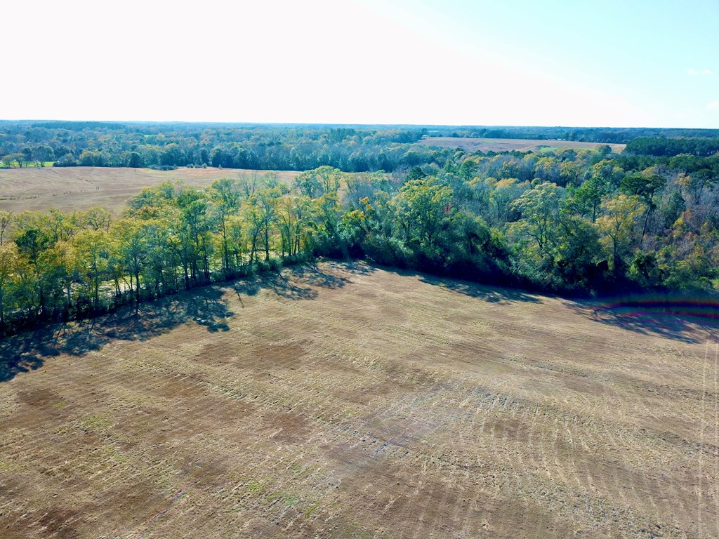 23.48 Acres South Park Rd, Slocomb, Alabama image 13