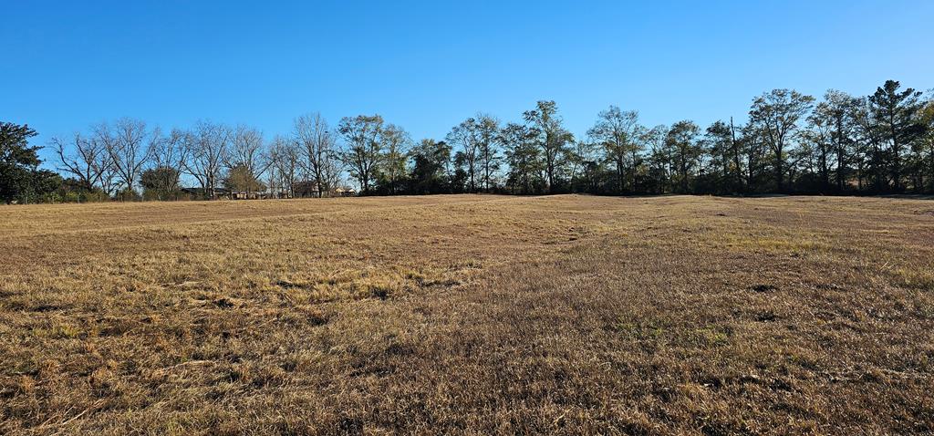 23.48 Acres South Park Rd, Slocomb, Alabama image 6